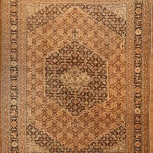 Persian Tabriz Rug #9471