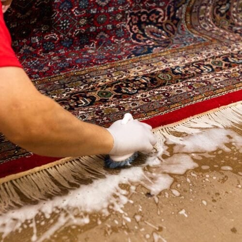 rug cleaning near me